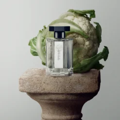 Tonka Blance Eau de Parfum