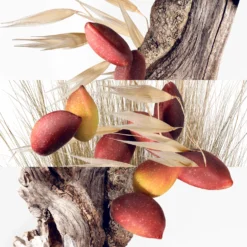 Un Jardin à Cythère, Eau de Toilette