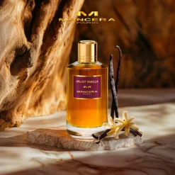 Xplicit Vanilla