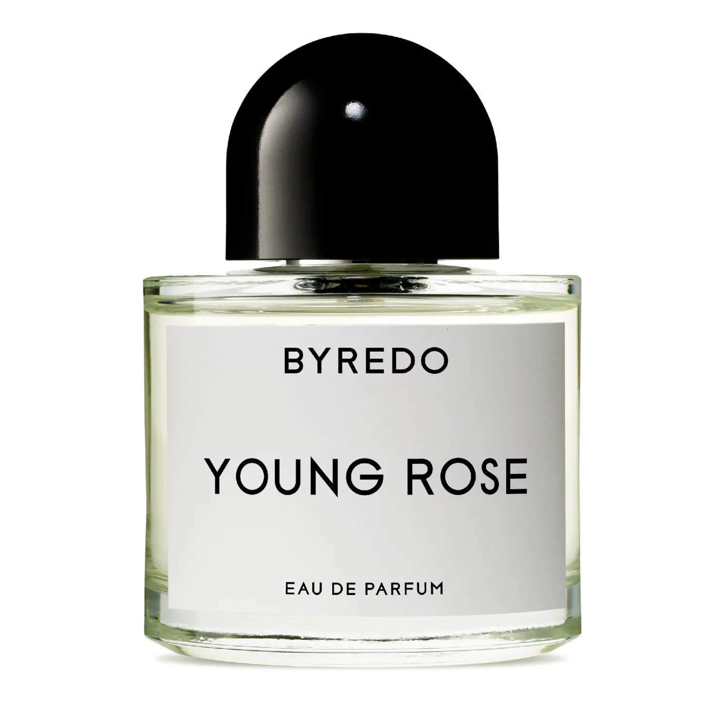 Young Rose